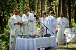 517601427 752404077133061 n 517601427 752404077133061 n