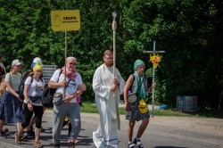 518420073 752403737133095 n 518420073 752403737133095 n